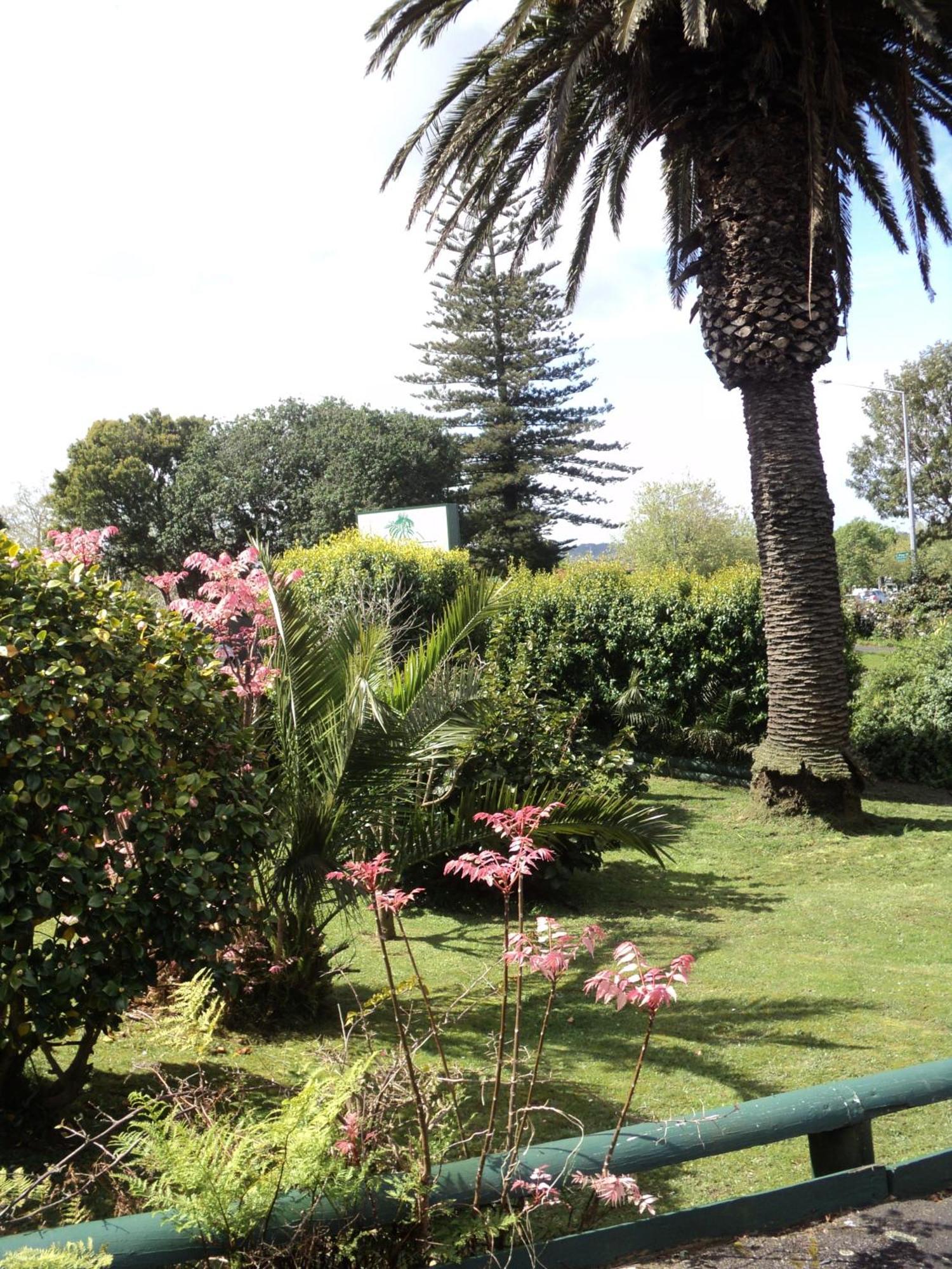 New Haven Motel Auckland Exterior foto